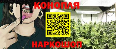 тгк Тула